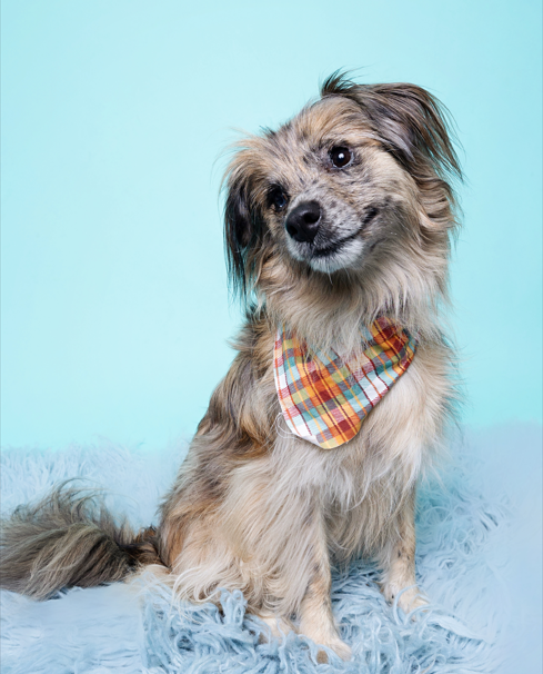 Screenshot 2025-08-11 143519