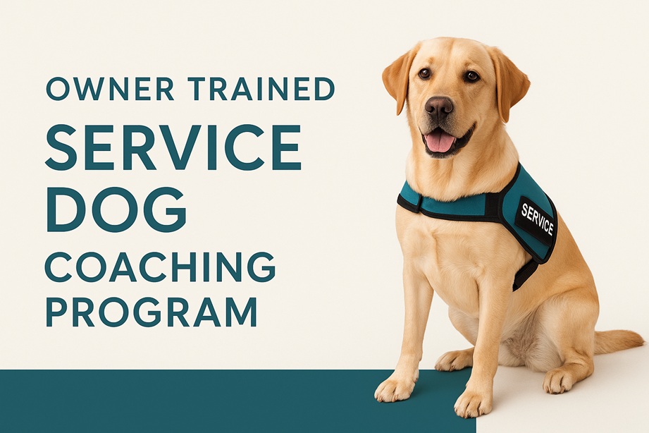 Service Dog Training