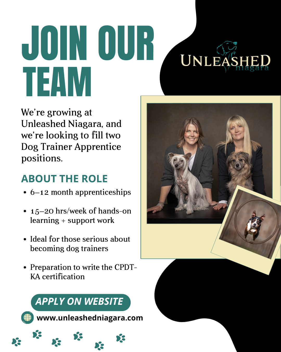 Unleashed Niagara Apprenticeship Program